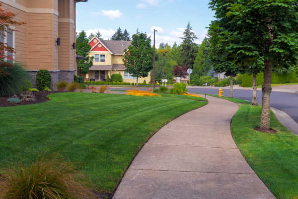 Albuquerque Lawn Care cc- R and S Landscaping Albuquerque NM 505-271-8419