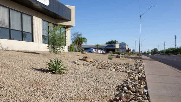 albuquerque xeriscape landscaping - R and S Landscaping Albuuerque NM 505-271-8419
