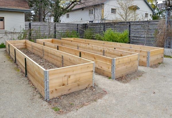 gardening on a budget albuquerque nm - R & S Landscaping Inc