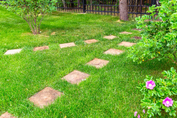 Albuquerque Outdoor LandscapingLandscaping In Home Garden. Natural Landscape Design With Path A