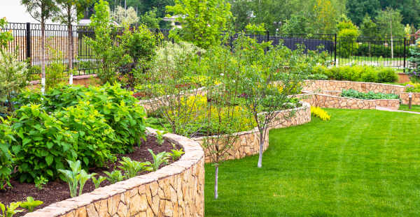 Cost Conscious Backyard Albuquerque Landscaping Strategies