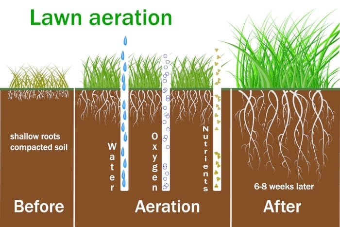 Albuquerque Lawn Aeration Tips - R & S Landscaping 505-271-8419 b