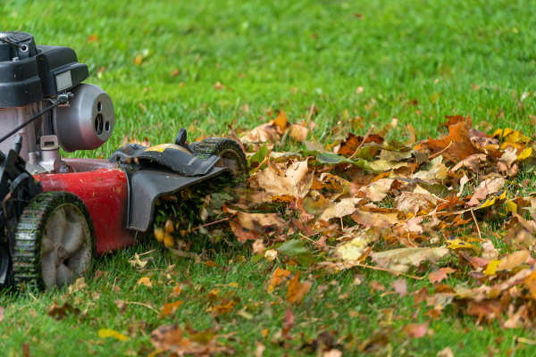 Albuquerque Fall Lawn Strategy Action Plan