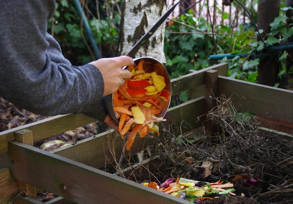 albuquerque garden winterizing