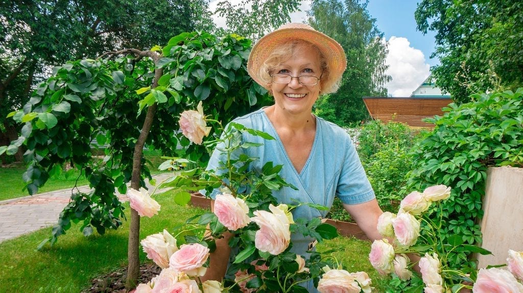 Great Tips & Strategies for Getting Your Albuquerque Garden and Lawn for Spring 2021 – Part One by R & S Landscaping 505-271-8419 b