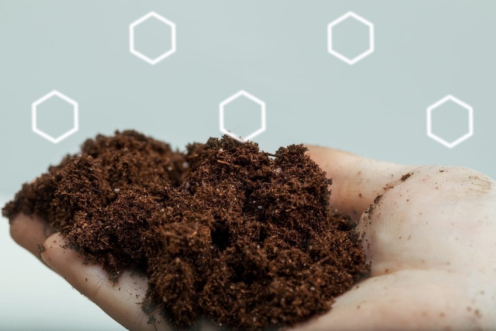 albuquerque garden soil
