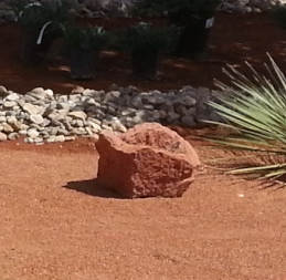 Albuquerque Xeriscaping