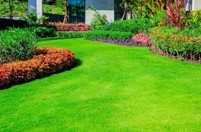 Nine Smart Moves to a Lush Albuquerque Lawn