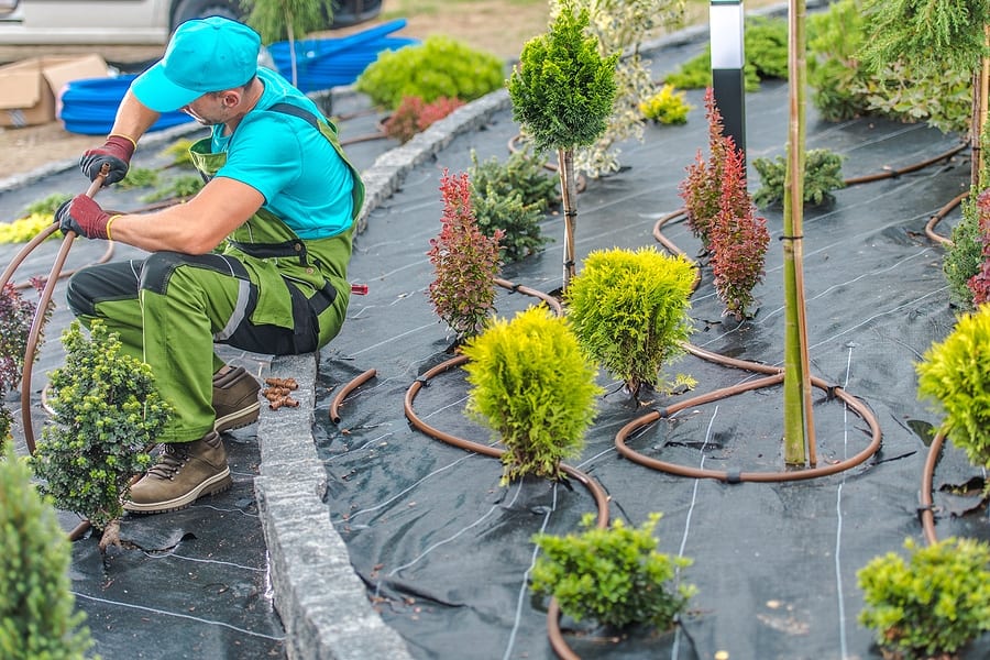 Albuquerque Commercial Building Landscaping Smart Irrigation Tips