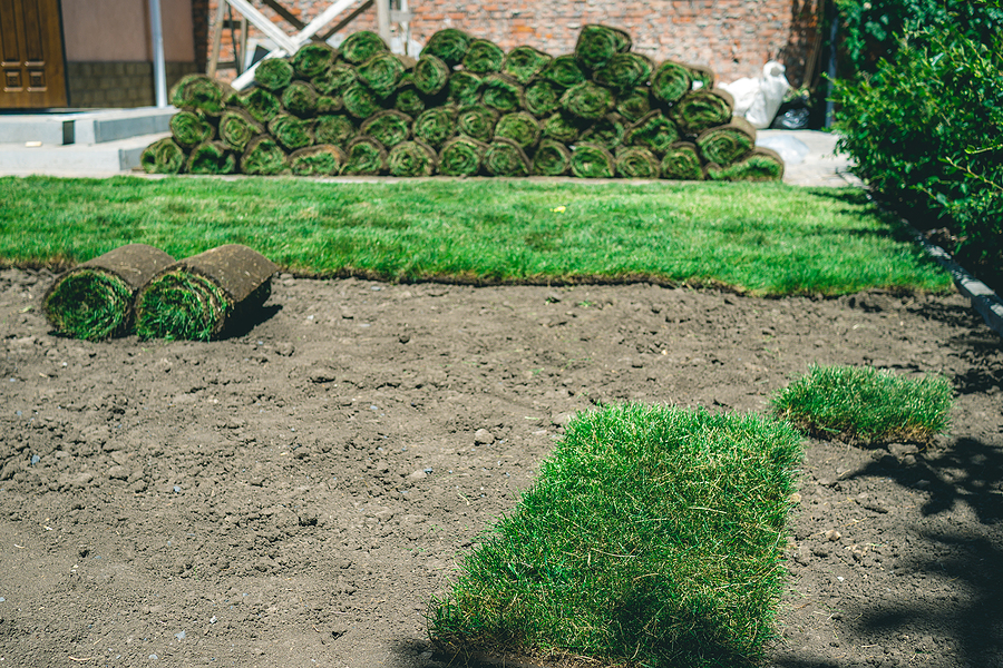 Albuquerque Soil Preparation for a New Sod Lawn by R & S Landscaping 505-271-8419