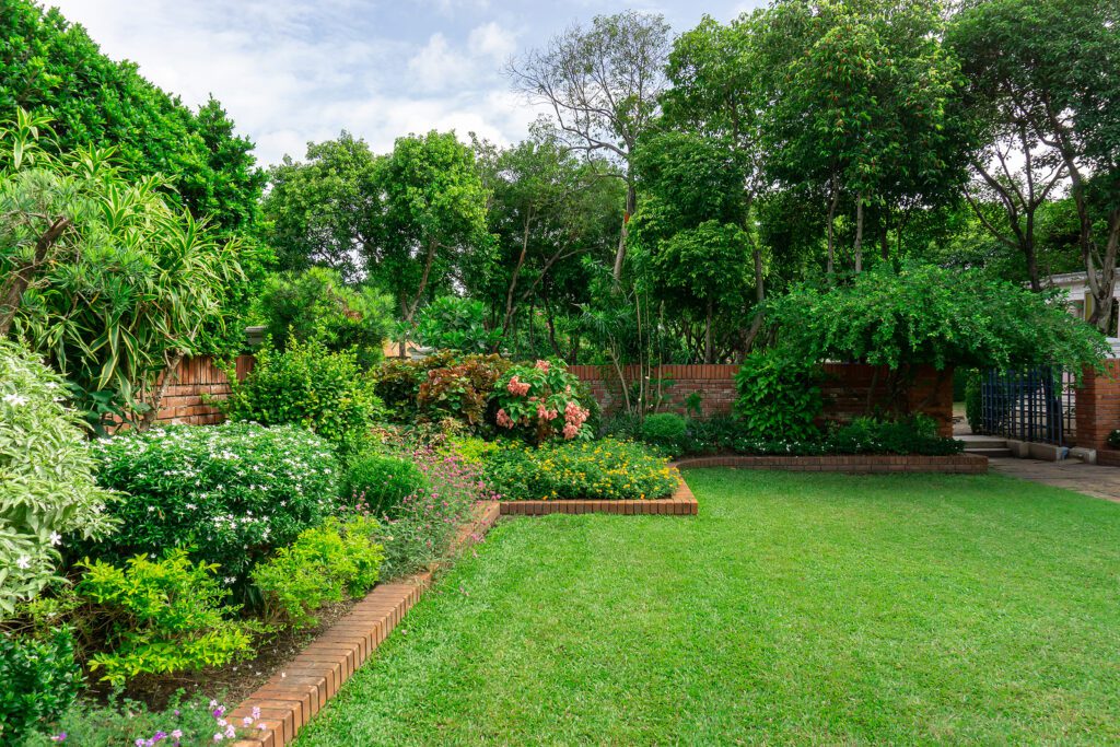 Albuquerque Home & Commercial Property Landscaping with Trees