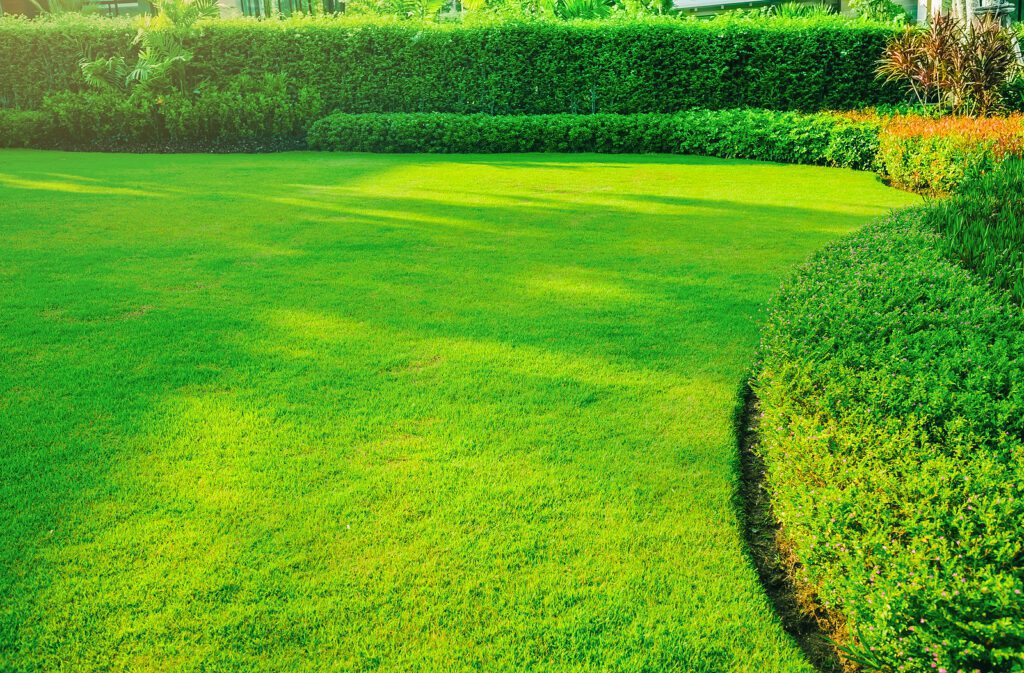 Affordable Albuquerque Home Improvements for 2022 for Top Curb Appeal by R & S Landscaping 505-271-8419