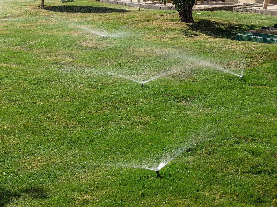 Albuquerque Water By the Numbers 2022 Lawn & Garden Watering Action Plan by R & S Landscaping 505-271-8419