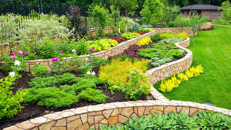 Tips for Choosing the Right Landscape Contractor in Albuquerque