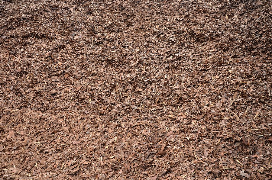 The Ultimate Putting Your Albuquerque Garden to Bed Before Winter Game Plan
