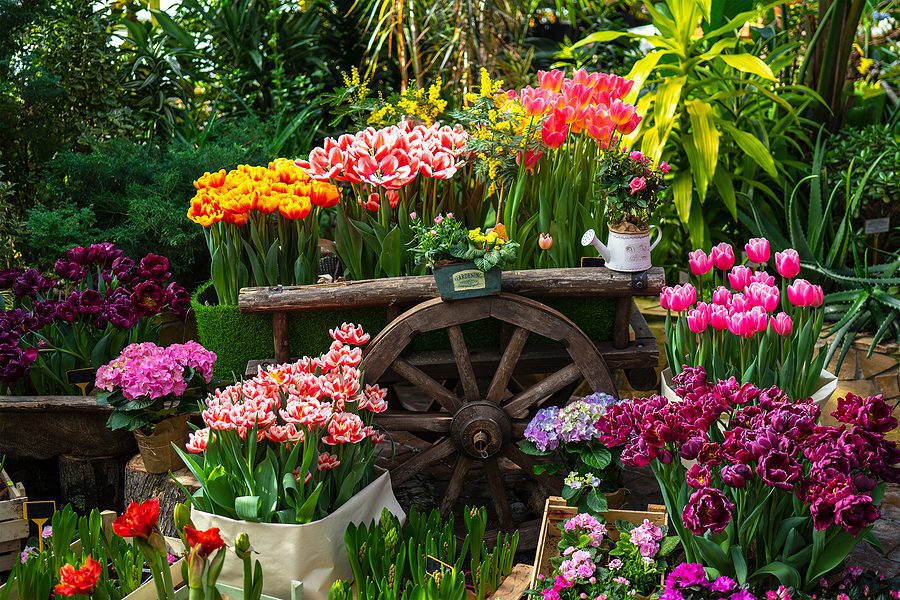 How to Prepare for Your Spring Garden in the Dead of Winter by R & S Landcaping Albuquerque NM Landscaping Company