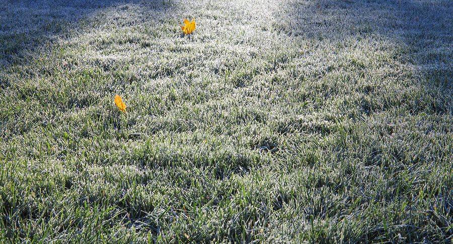 Winterize Your Albuquerque Lawn Using the Following Steps by R & S Landscaping
