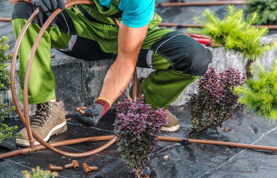 Albuquerque Watering with a Drip Irrigation is a Smart Move - Here's Why by R & S Landscaping
