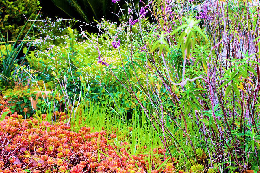 Top Landscaping Ideas with Reduced Maintenance