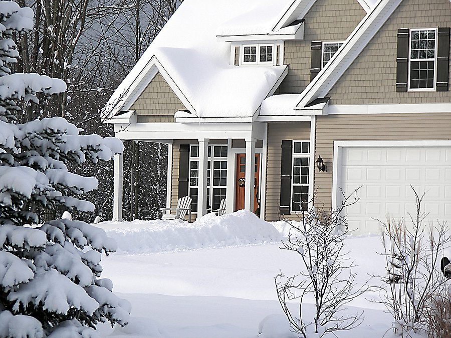 Winter Tree Care Tips for Albuquerque