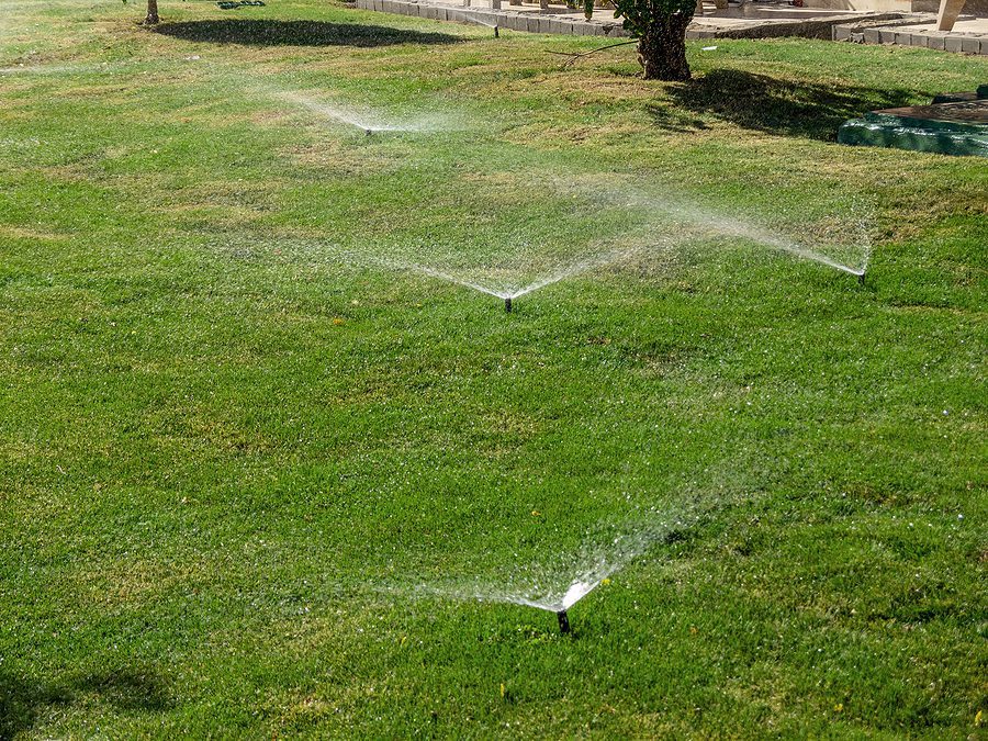 Watering By the Numbers in Albuquerque 2024 – Here’s What to Know