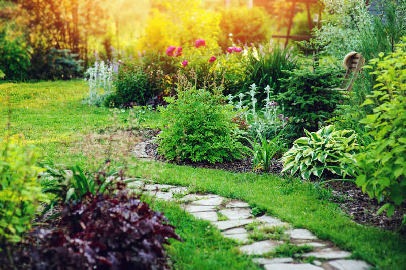 Strategies to Use on Picking Perennials for Your Albuquerque Landscaping – Part One